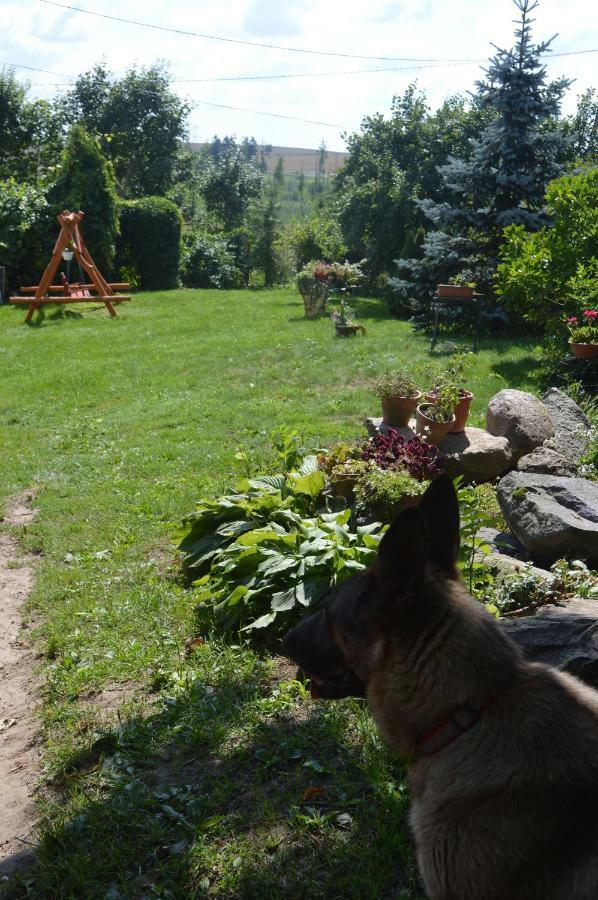Agroturystyka 'Pod Debem' Giżycko Kültér fotó
